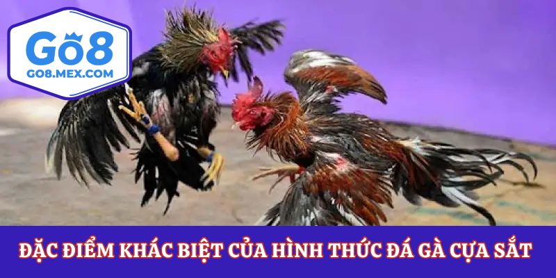Đặc điểm khác biệt của hình thức đá gà cựa sắt