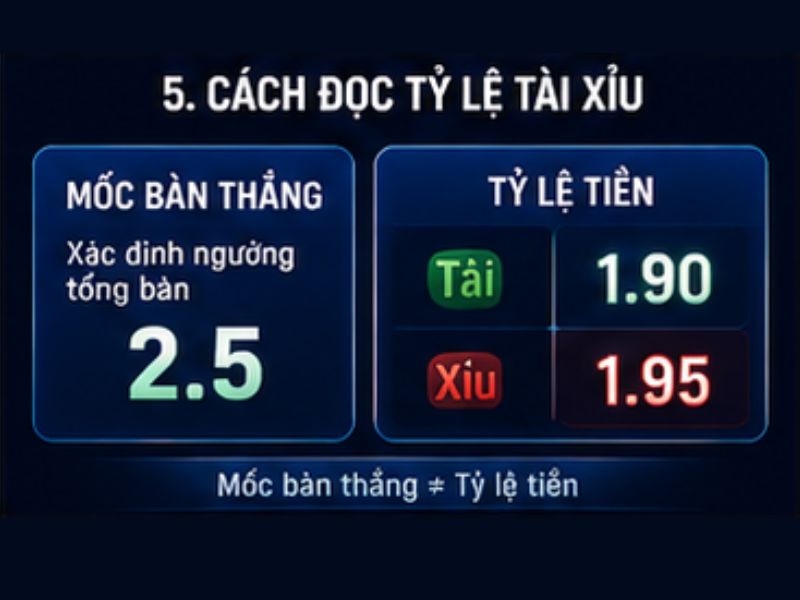 Cách Đọc Tỷ Lệ Tài Xỉu