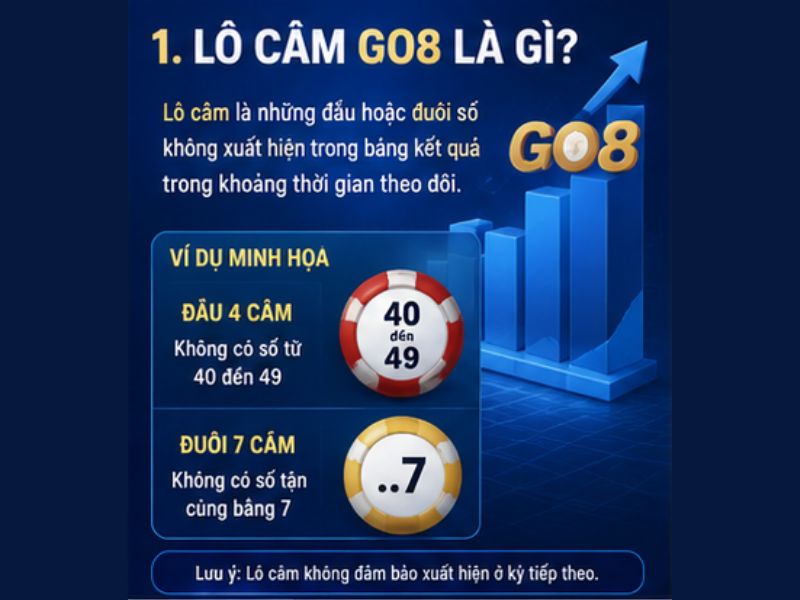Lô Câm GO8 Là Gì?