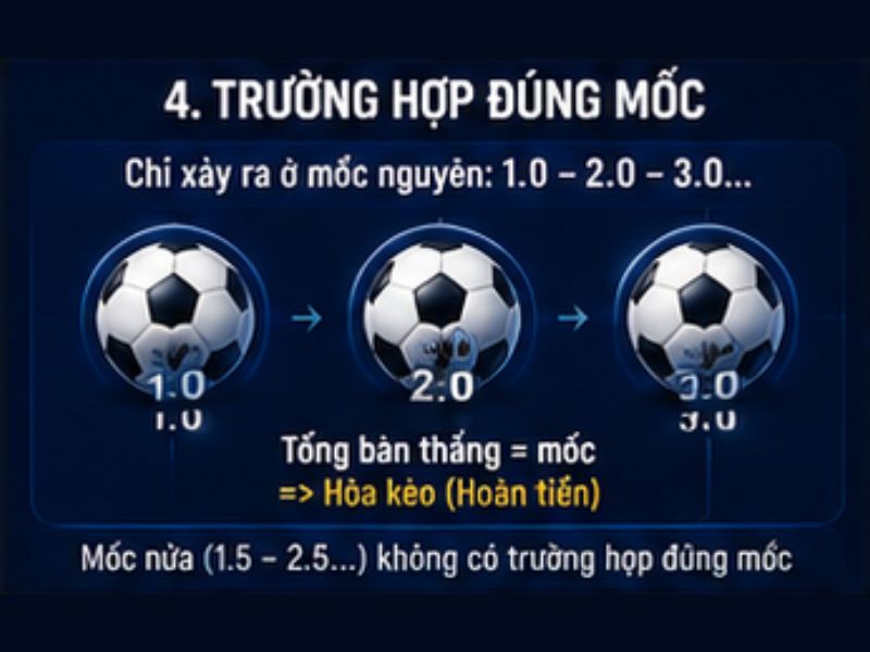 Trường hợp đúng mốc