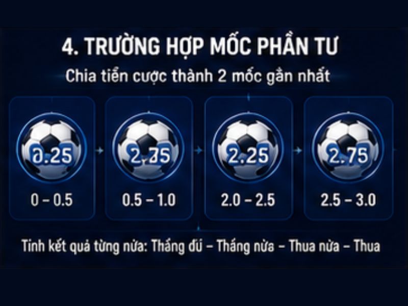 Trường hợp mốc phần tư